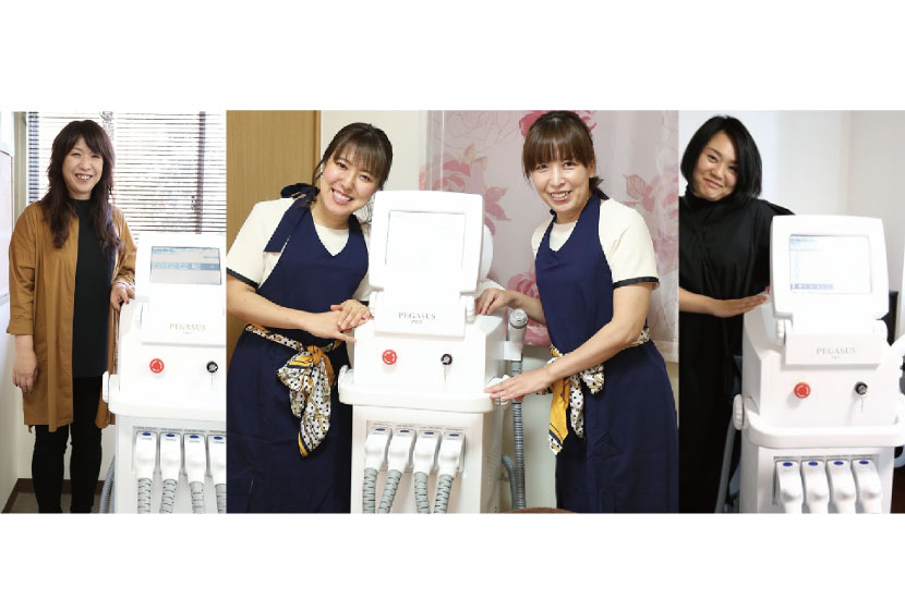 ペガサスプロ導入事例