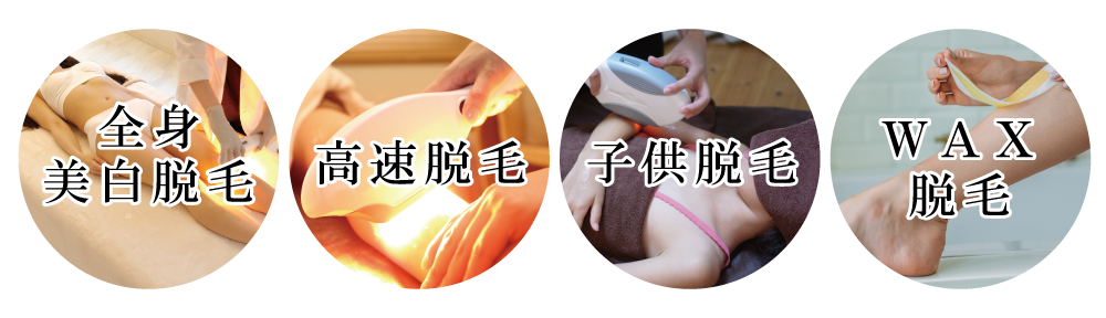 ペガサスプロSHR対応メニュー