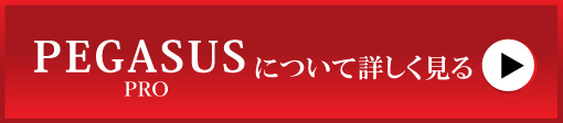ペガサスプロについて詳しくみる