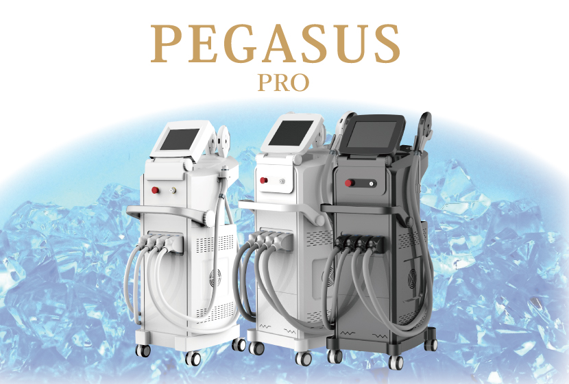 冷却機能抜群のペガサスシリーズ